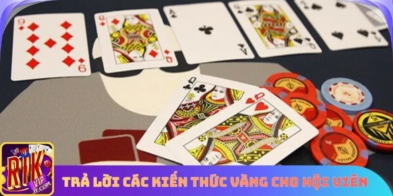 Cổng cược trả lời các kiến thức vàng cho hội viên